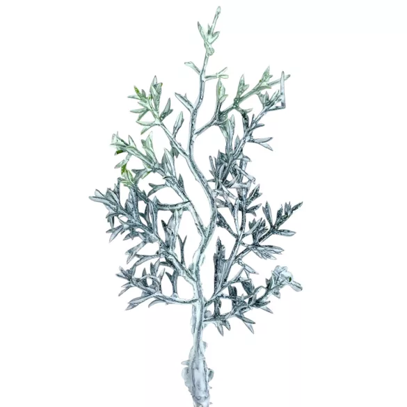 Tujaág, zúzmarás, 9 cm