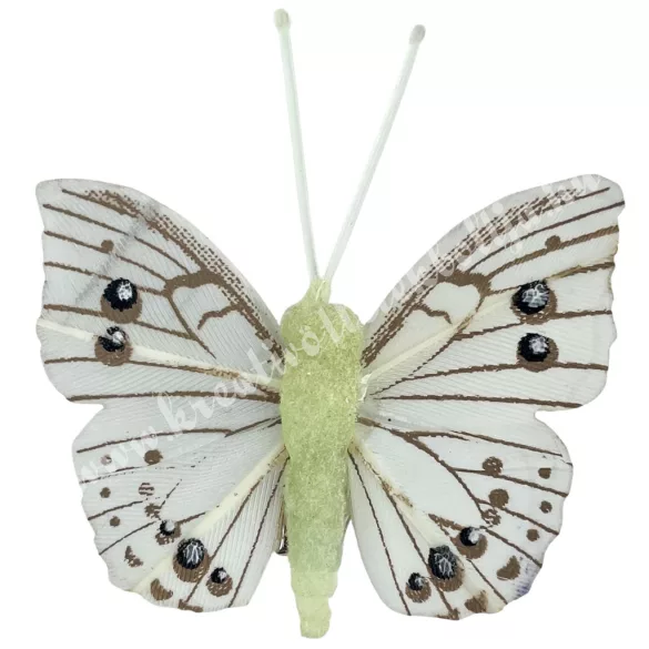 Csipeszes pillangó, menta, 5x5 cm