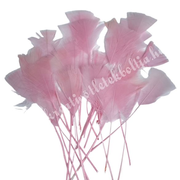 Madártoll, bóbitás, rózsaszín, 12-16 cm, 25 darab/csomag