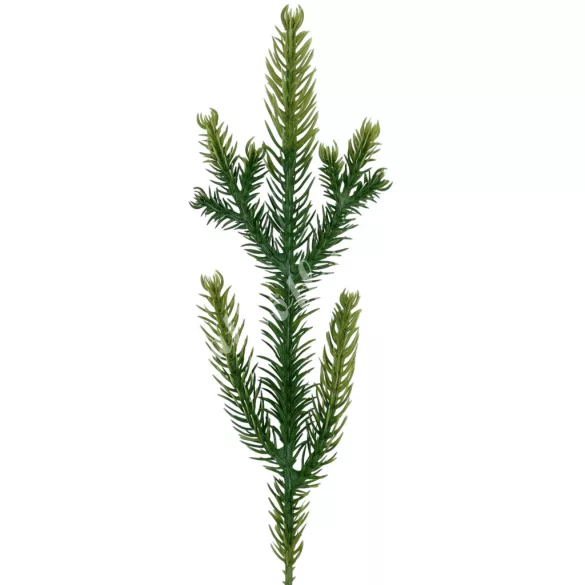 Fenyőág, zöld, 25 cm