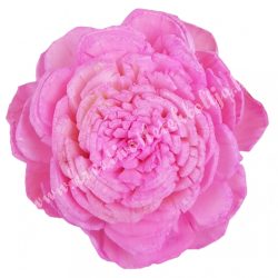 Ming boglárka fej, rózsaszín, 4 cm