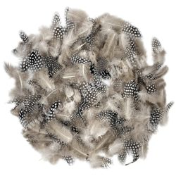 Gyöngytyúk toll, 4-13 cm, 10 gramm/csomag