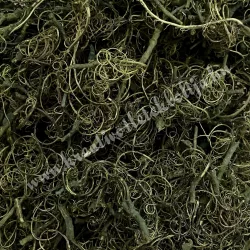 Kócos moha, zöld, 30 gr/csomag