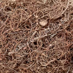 Kócos moha, világosbarna, 30 gr/csomag