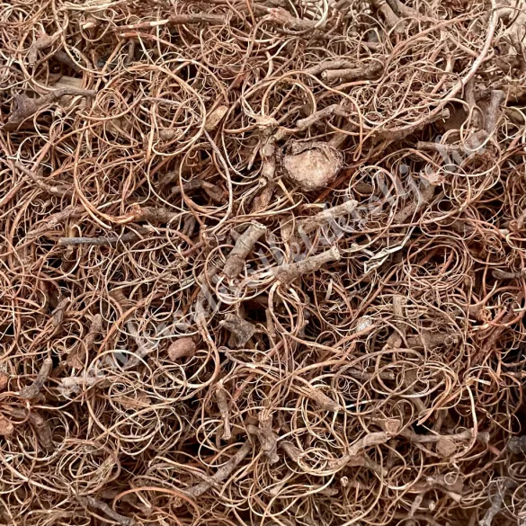 Kócos moha, világosbarna, 30 gr/csomag