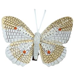 Csipeszes pillangó, fehér-barack, 7,5x6 cm