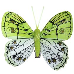 Csipeszes pillangó, zöld-fehér, 7,5x6 cm
