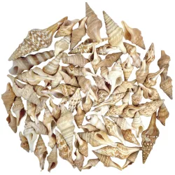 Tündércsiga, 80 gr/csomag