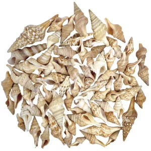 Tündércsiga, 80 gr/csomag