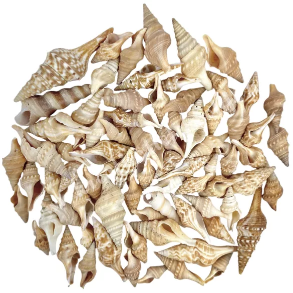 Tündércsiga, 80 gr/csomag