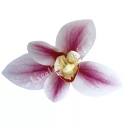 Real touch orchideafej, rózsaszín, 10 cm
