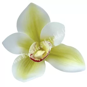 Real touch orchideafej, törtfehér-zöld, 10 cm