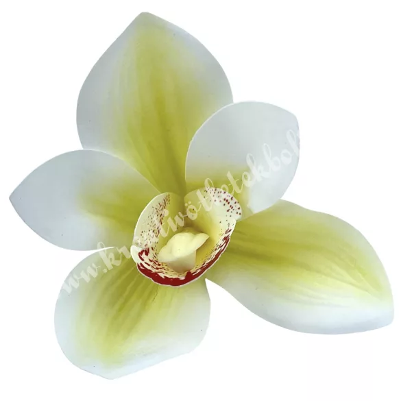 Real touch orchideafej, törtfehér-zöld, 10 cm