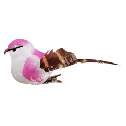 Csipeszes madárka, rózsaszín, 10x3,5 cm