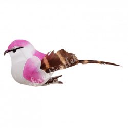 Csipeszes madárka, rózsaszín, 10x3,5 cm