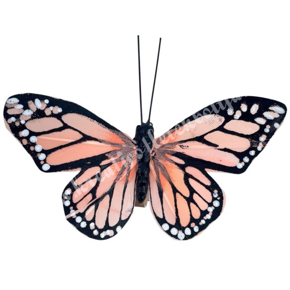 Csipeszes pillangó, korall, 7,5x6 cm
