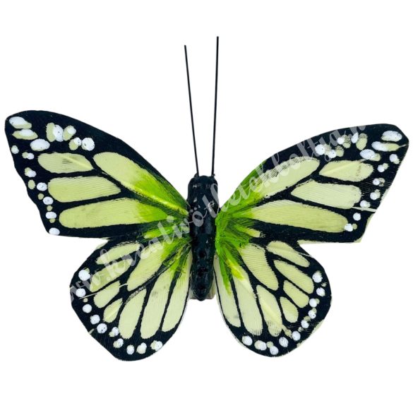 Csipeszes pillangó, zöld, 7,5x6 cm