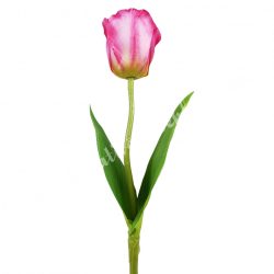 Tulipán szálas, cirmos pink, 42 cm