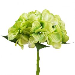 Hortenzia szálas, zöld, 34 cm
