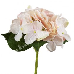 Hortenzia szálas, cirmos rózsaszín, 34 cm