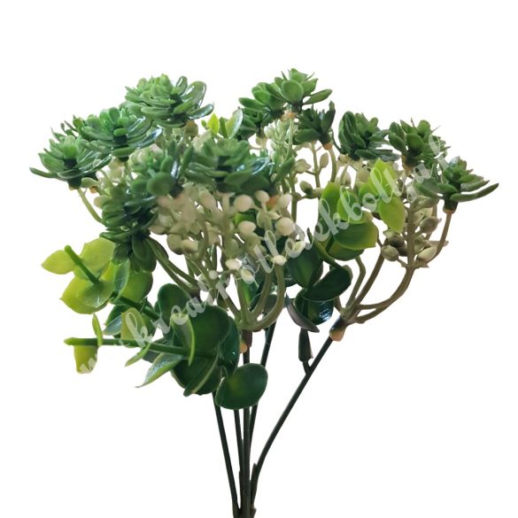 Csokor pozsgás, 23 cm