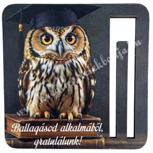Mdf pénzátadó, bagoly, 8,5x8,5 cm