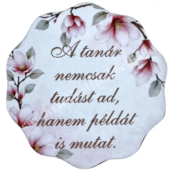 Mdf tábla, hullámos, A tanár nemcsak tudást ad..., 5 cm