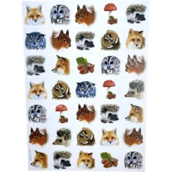 Öntapadó matrica, ősz, 8,5x12 cm