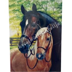 Gyémántszemes kirakó, 5D, ló, 40x30 cm