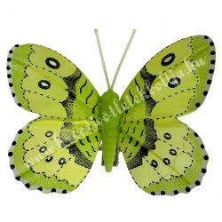 Csipeszes pillangó, zöld, 7,6x6,5 cm