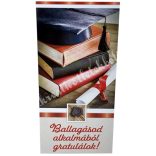 Pénzátadó zsebes boríték, ballagásra, 11x21,5 cm