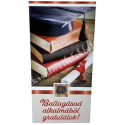 Pénzátadó zsebes boríték, ballagásra, 11x21,5 cm