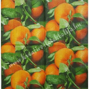 Szalvéta, déligyümölcs, narancs, 33x33 cm (4)