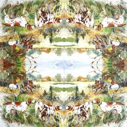 Szalvéta, férfiaknak, 33x33 cm (15)