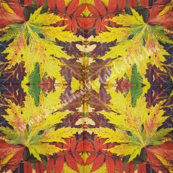 Szalvéta, ősz, 33x33 cm (72)