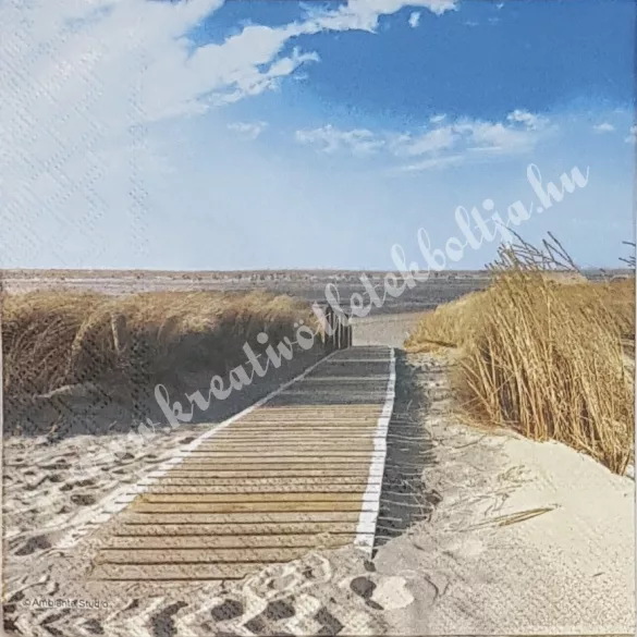 Szalvéta, tenger, stég, 33x33 cm (43)