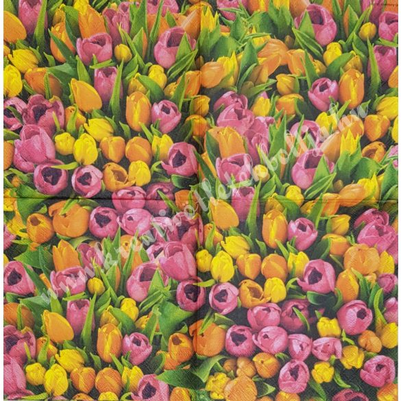 Szalvéta, tulipán, 33x33 cm (16)