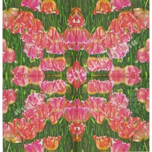 Szalvéta, tulipán, 25x25 cm (2)