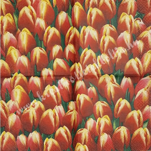 Szalvéta, tulipán, 25x25 cm (3)