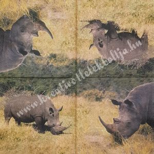 Szalvéta, vadállatok, orrszarvú, 33x33 cm (10)