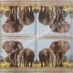 Szalvéta, vadállatok, elefánt, 33x33 cm (2)