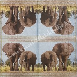 Szalvéta, vadállatok, elefánt, 33x33 cm (2)