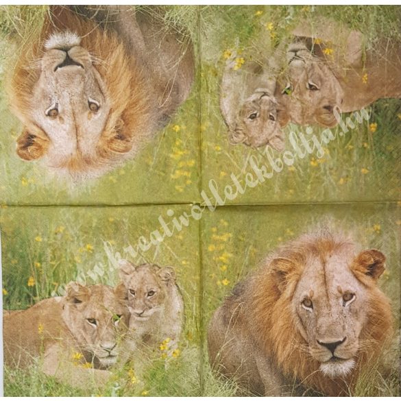 Szalvéta, vadállatok, oroszlán, 33x33 cm (27)