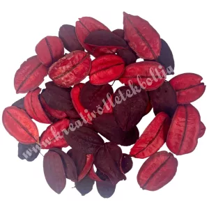 Szárazdekoráció, őznyelv, piros, 20 gr/csomag