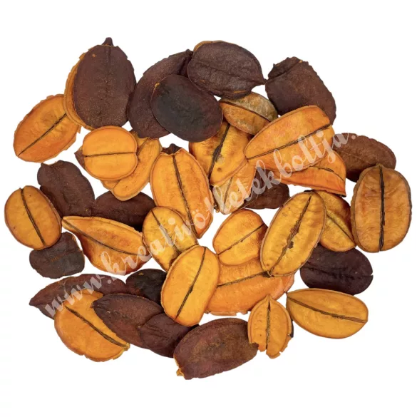 Szárazdekoráció, őznyelv, narancs, 20 gr/csomag