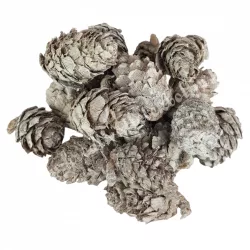 Szárazdekoráció, vörösfenyő toboz, 50 gr/csomag