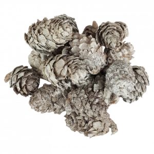Szárazdekoráció, vörösfenyő toboz, 50 gr/csomag