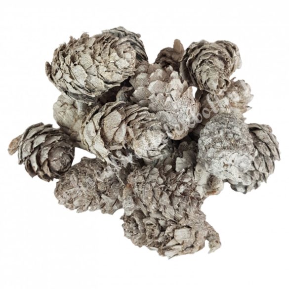 Szárazdekoráció, vörösfenyő toboz, 50 gr/csomag