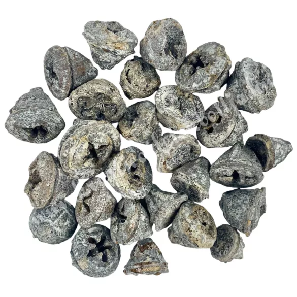 Szárazdekoráció, eukaliptusz gomb, fehér, 50 g/csomag