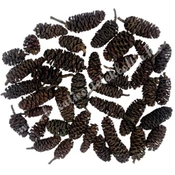 Szárazdekoráció, natúr égertermés, 20 g/csomag